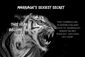 MSS014 - Year of the Tiger | Sex with the lights on
