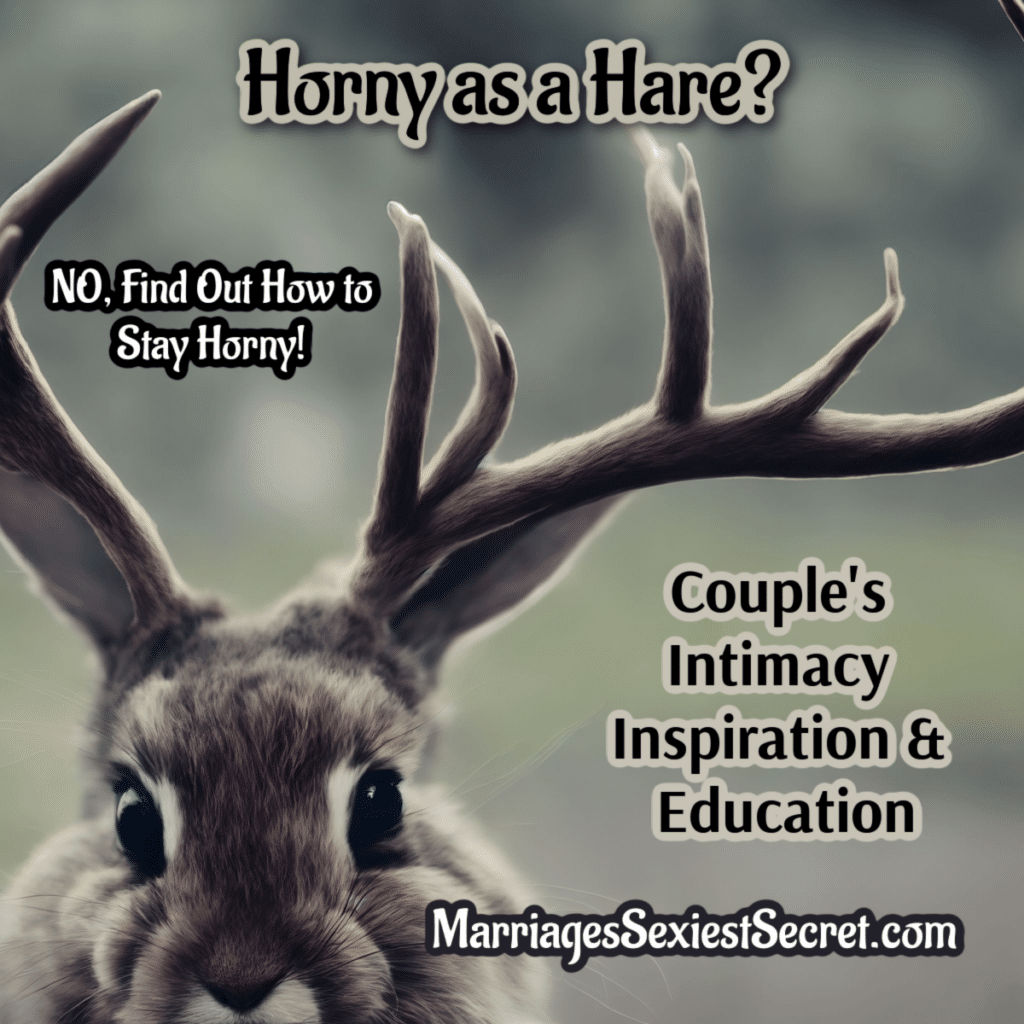 Horny as a Hare, How to stay horny, horny, Intimacy, Sex, Turned On