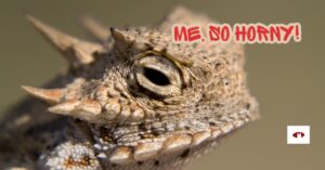 Unlocking Desire, What are your Turn Ons, What makes you horny, Turn on Questionaire, Discuss Turn Ons, How to Turn on your partner, Staying horny